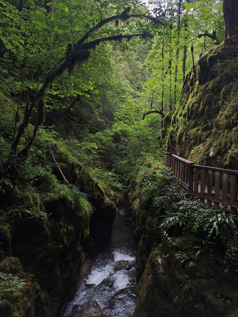L'oreline Au Coeur De La Region Des Lacs Du Jura