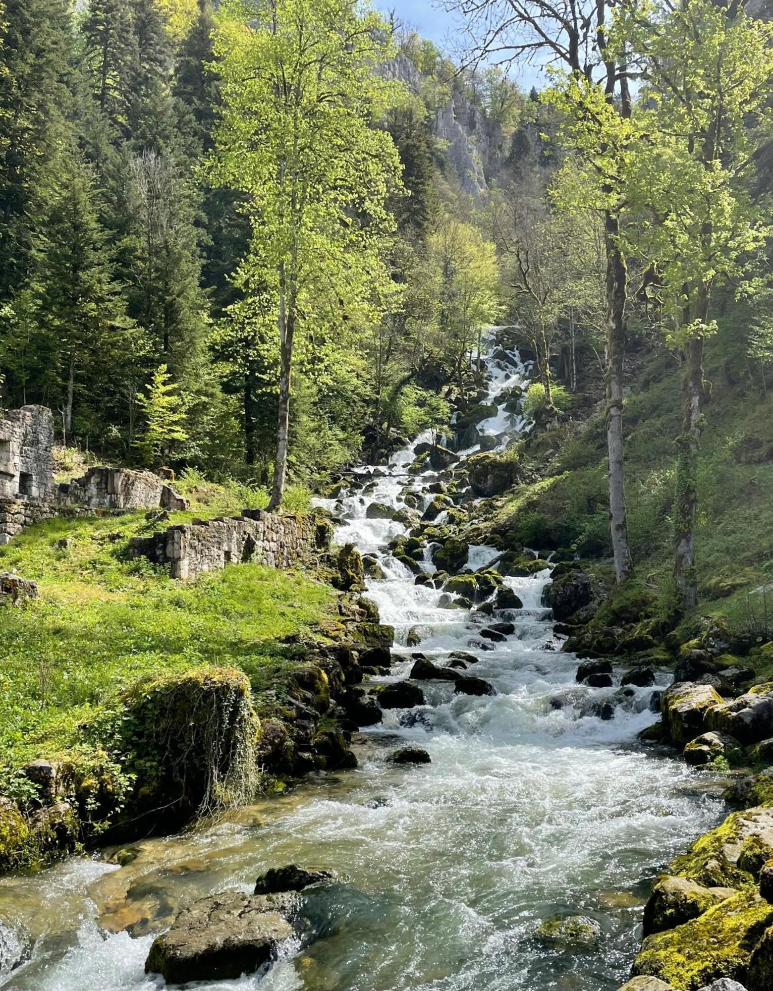 L'oreline Au Coeur De La Region Des Lacs Du Jura Holiday home *